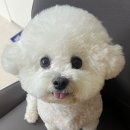 금땡이 | 임비타 머슬 케어 4기 2주 급여 후기