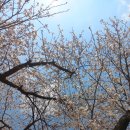 희수농장 이미지