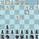 D.C클럽 | 슥슥이 체스클럽 첫 방문 후기 + 복기