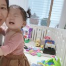 이지구대