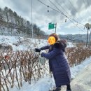 내고향풍천장어 이미지