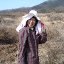 선남농장 이미지