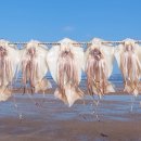 목화휴게소 이미지