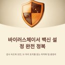 하천 실시간 감시 | 바이러스체이서 백신설정 검사속도 최적화 사용기 팁총정리 완전판