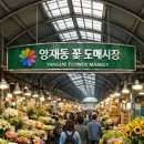 오토오아시스 양재점 | 양재동 꽃시장 꽃 구매 및 셀프 생신 꽃바구니 만들기 성공 후기
