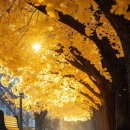 부천상동지사 이미지