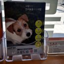 동인동물병원 이미지