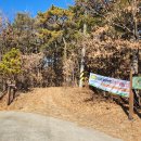 강정보 녹색길 이미지