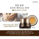 쥬단학 이미지
