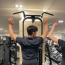 중앙동239 이미지