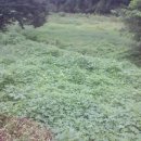 여주-0928 이미지