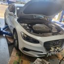 합성견인 이미지