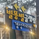 [경기 가평군] 별똥별글램핑&amp;카라반 _ 서울 근교...바베큐, 오로라불멍, 반려동물 동반, 내돈내산 후기