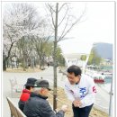 동아목련 이미지