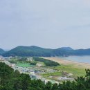 명지시장 이미지