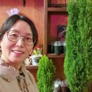 옛길 플라워 이미지