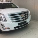 디테일모터스 이미지