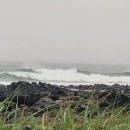 하모3리 이미지