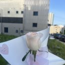 2026 열세번째 daily