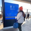 간절곶사슴농장 이미지