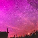 동양미인의원 이미지