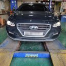 필립카센타 이미지