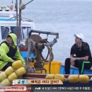 여기바다A 이미지