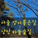 남산길 | 반려견과 즐기는 겨울 산책: 남산 하늘숲길 후기