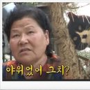 장한평불백참