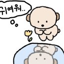 더넛