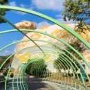 양서·파충류생태공원 1층 이미지