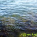 죽림해안로 이미지