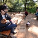 어린이대공원 제7호 이미지