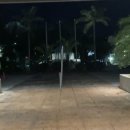 펄스트마켓 이미지