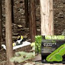 자연과함께 이미지