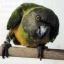 굿닥터동물병원 이미지