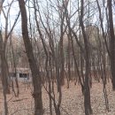 우장산둘레길 이미지