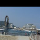 엑스포관광