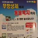 자담치킨모라점 이미지