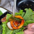 최가네포차 | 목포 최가네먹거리 오징어보쌈 후기｜볶음밥까지 완벽했던 현지 맛집