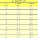 [승무원][남자승무원][스튜어드][승무원조건] 스튜어드의 업무, 정의 및 지원자격 이미지