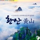 태평여행사 이미지