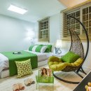 스파벨리스 이미지