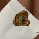 시계토끼 이미지