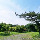 중고개길 이미지