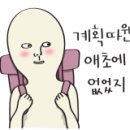 개예쁨주의 이미지