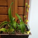 태인약국 이미지