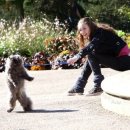 청순한 세탁소 이미지