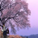 우리둘이 이미지