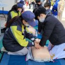 용인대석사청무태권도 이미지